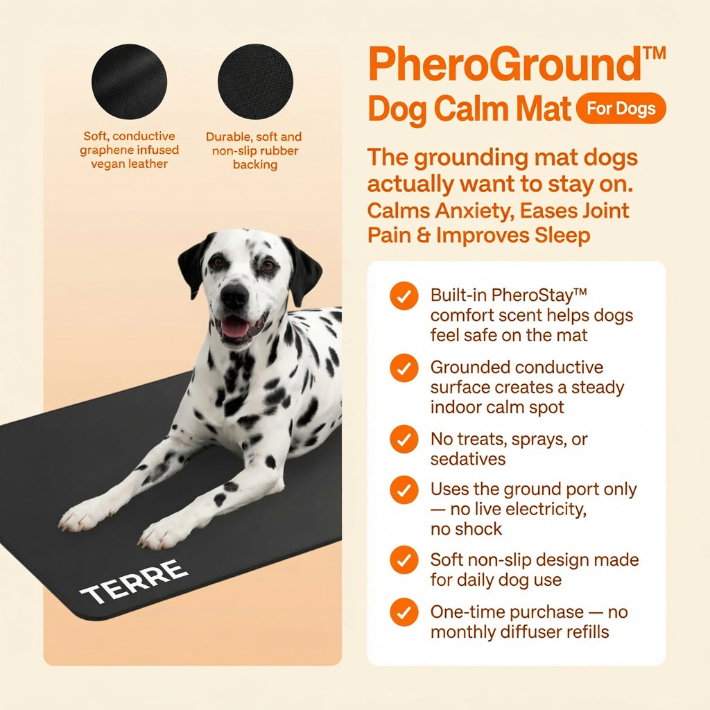 Terre PheroGround™ Dog Calm Mat