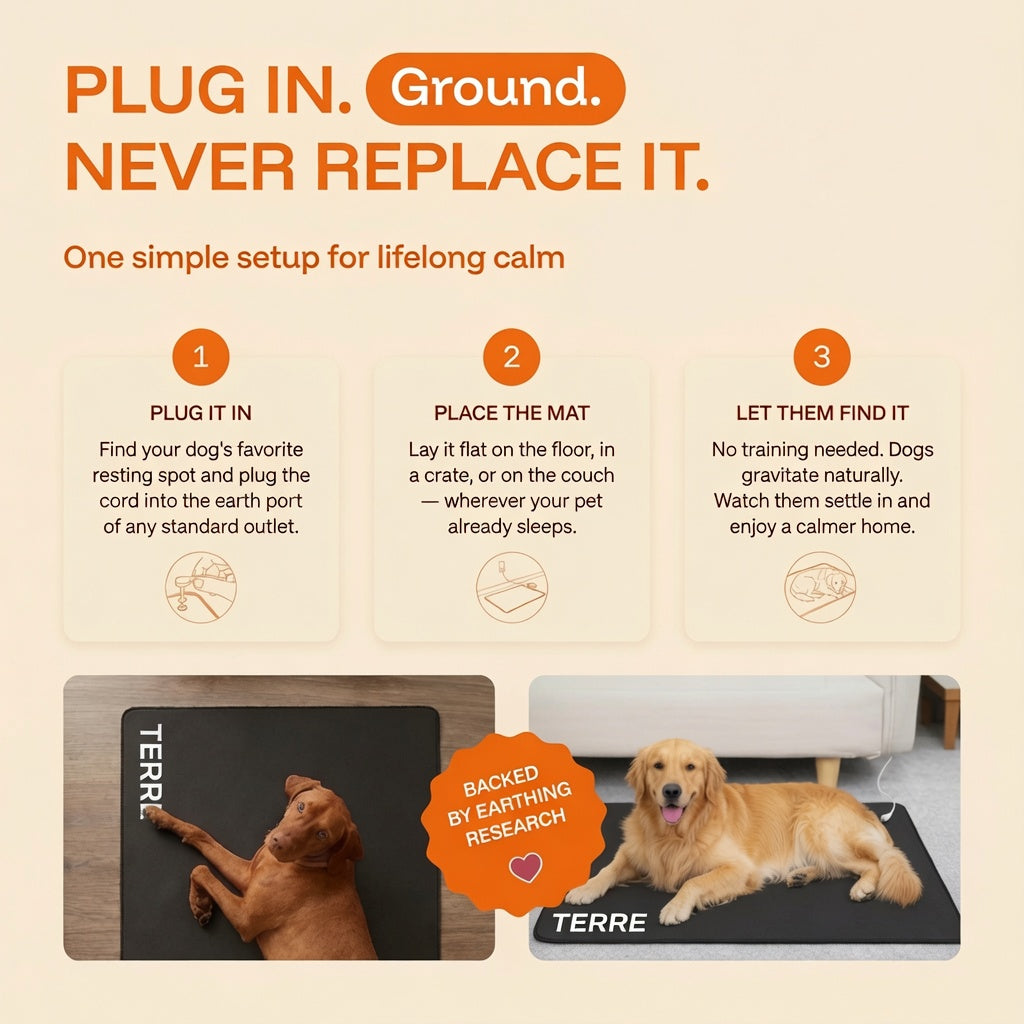Terre PheroGround™ Dog Calm Mat