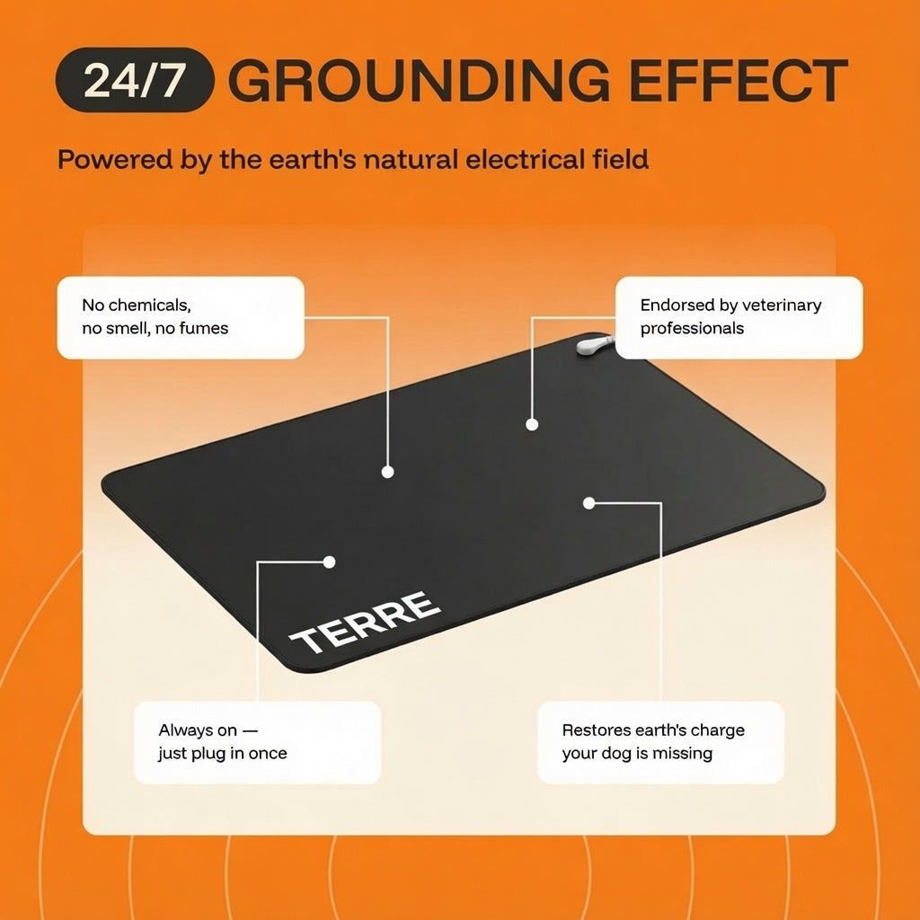Terre PheroGround™ Dog Calm Mat
