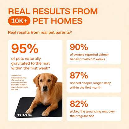 Terre PheroGround™ Dog Calm Mat
