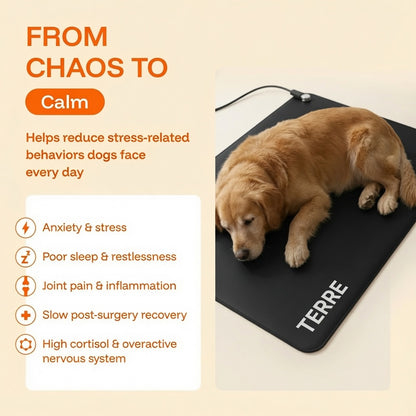 Terre PheroGround™ Dog Calm Mat